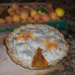 Canadian Apricot Lattice Pie Dessert