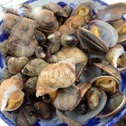 Canadian Mini Seafood Platter Dessert