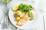 American Salmon Fillets with Minty Pesto Dinner