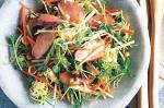 American Duck And Hazelnut Salad With Red Wine Vinegar Dressing Recipe Appetizer