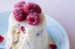 American Raspberry And Meringue Icecream Puddings Recipe Dessert
