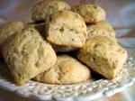 American Anise  Honey Biscuits Dessert