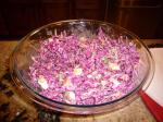 British Crunchy Red Cabbage Slaw Salad Appetizer