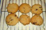 American Sultana Biscuits cookies Dessert