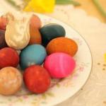 American Natural Dyes to Eggs Appetizer