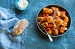 American Cauliflower Kapama Appetizer