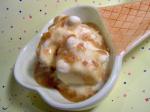 French Peanut Butter Crunch ice Cream Topping Dessert
