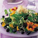 American Mixed Salad with Flowers and Blueberries Dessert