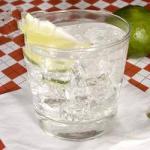 Spanish Gin and Tonic 5 Appetizer