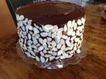 American Claim Jumpers Chocolate Motherlode Cake Dessert