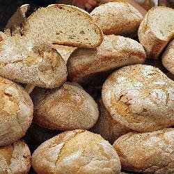 Australian Bruschetta of Luxury Appetizer