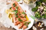 American Barbecued Ocean Trout With Garlic And Parsley Dressing Recipe Appetizer
