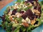 American Gorgonzola and Toasted Walnut Salad Appetizer
