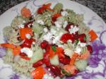 American Garden Greek Pasta Salad Dinner