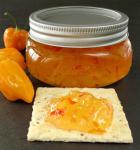 American Habanero Gold Jelly Appetizer
