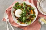 British Burrata Salad Recipe Appetizer