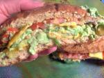 American Veggie Guacamole Submarine Sandwich Appetizer