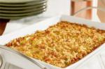 Canadian Southern Yellow Squash Casserole 1 Appetizer