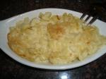 American Macaroni  Cheese Flourless Sauce Dinner