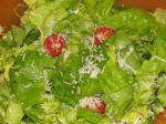 American Sundays Healthy Parmesan Garden Salad Appetizer