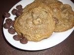 Ghirardelli Chocolate Chip Cookies 1 recipe