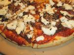 Italian Caramelized Onion and Goat Cheese Pizza Appetizer