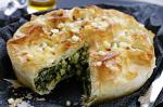 Macedonian Macedonian Pie Of Greens And Cheese Recipe Appetizer