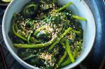 British Sesame Spinach Salad Recipe 1 Appetizer