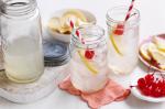 British Tom Collins Recipe 2 Appetizer