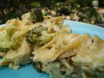 Swiss Swiss Chicken  Broccoli Casserole Dinner