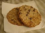 American Toasted Coconut Chocolate Chip Cookies Dessert