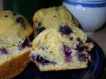 American Blueberryginger Corn Muffins Dessert