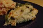 Broccolistuffed Chicken recipe
