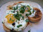 American Fried Eggs With Coriander Cumin and Balsamic Vinegar Appetizer