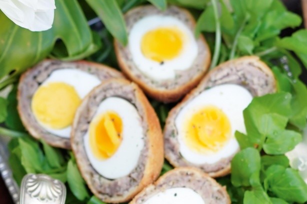 American Scotch Eggs Recipe 15 Appetizer