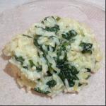 American Rice with Spinach and Cream Appetizer