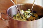 American Orecchiette With Creamy Broccoli Recipe Appetizer