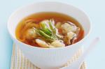 American Chicken Wonton Noodle Soup Recipe Appetizer