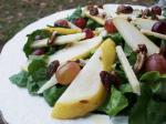 American Salad With Fruit and Cheese Appetizer
