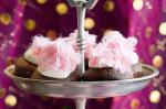 American Chocolate Fairy Floss Cupcakes Recipe Dessert