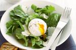 American Poached Egg Rocket And Parmesan Salad Recipe BBQ Grill