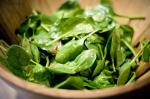 American Wilted Spinach Salad With Sherry Vinaigrette 1 Appetizer