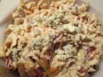 American Blue Cheese Coleslaw Salad Appetizer