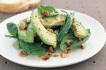 American Avocado Spinach And Walnut Salad Recipe 1 Appetizer