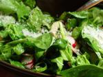 American Spinach Bacon  Mushroom Salad Appetizer