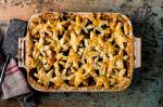 Apple Cranberry Slab Pie Recipe recipe