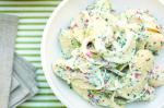 American Potato and Fennel Salad With Chilli Yoghurt Dressing Recipe Appetizer