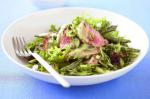 American Summer Beef Salad Recipe Appetizer