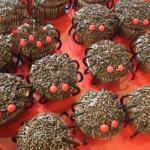 British Cupcake Shaped Chocolate Spiders Dessert