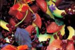American Pink Grapefruit Avocado and Pomegranate Salad With Nasturtium Flowers Recipe Appetizer